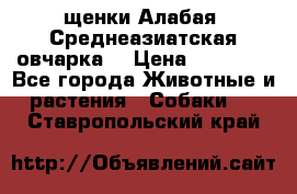 щенки Алабая (Среднеазиатская овчарка) › Цена ­ 15 000 - Все города Животные и растения » Собаки   . Ставропольский край